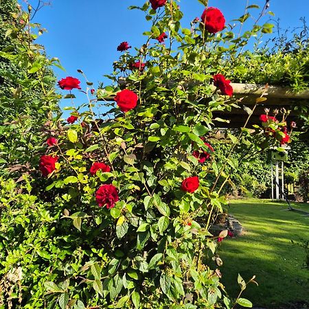 Dorset Arms Hotel Wallsend Ngoại thất bức ảnh