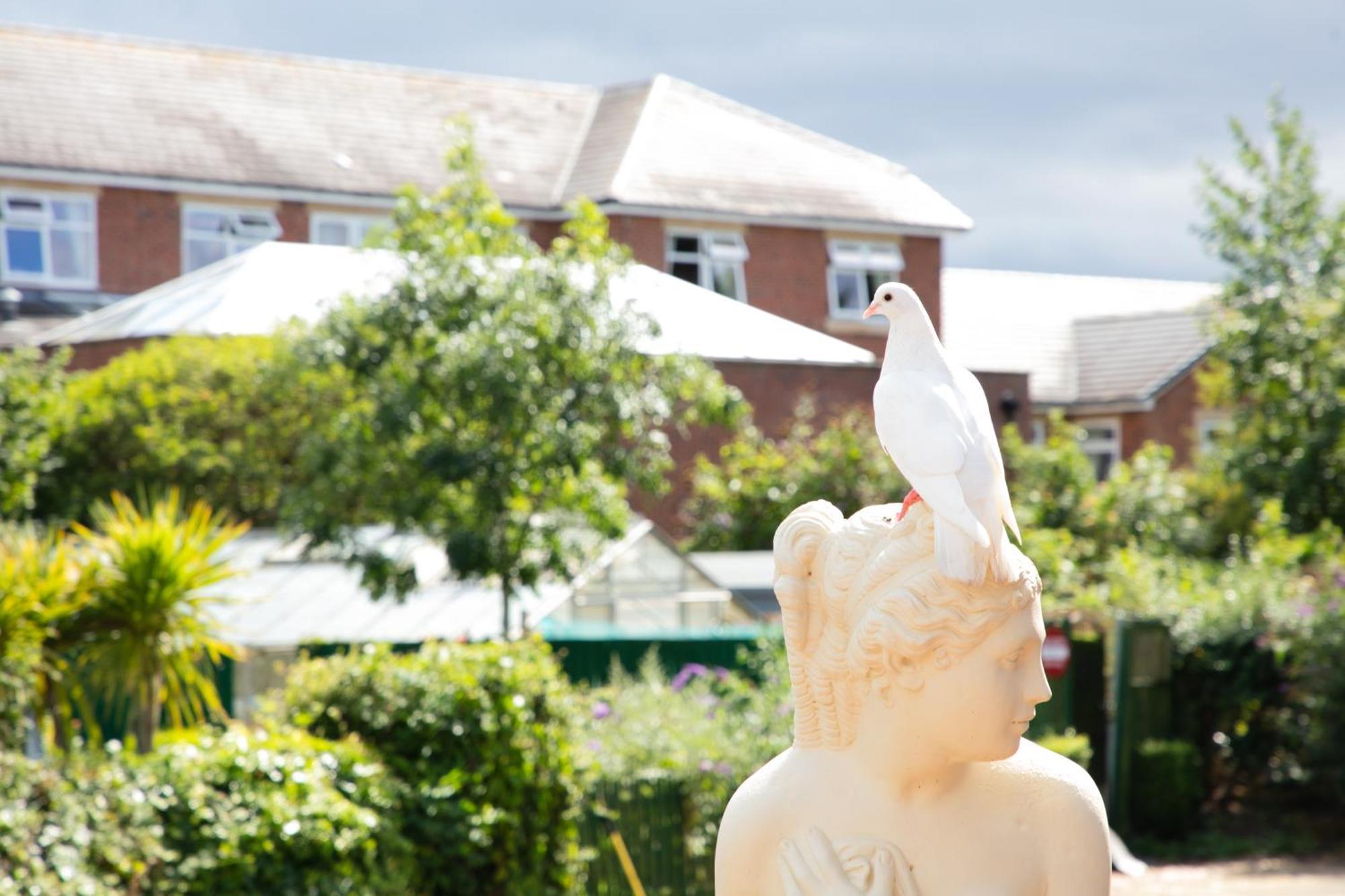 Dorset Arms Hotel Wallsend Ngoại thất bức ảnh