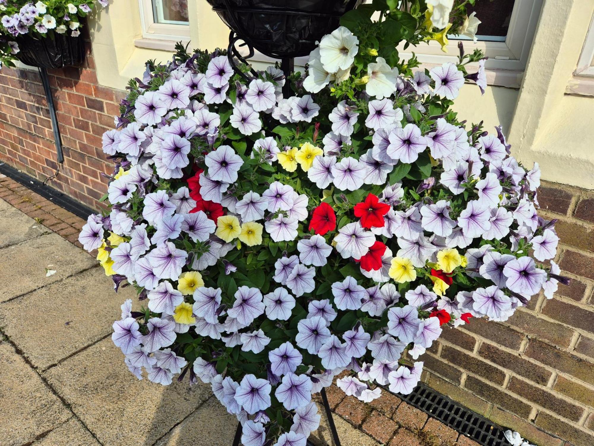 Dorset Arms Hotel Wallsend Ngoại thất bức ảnh