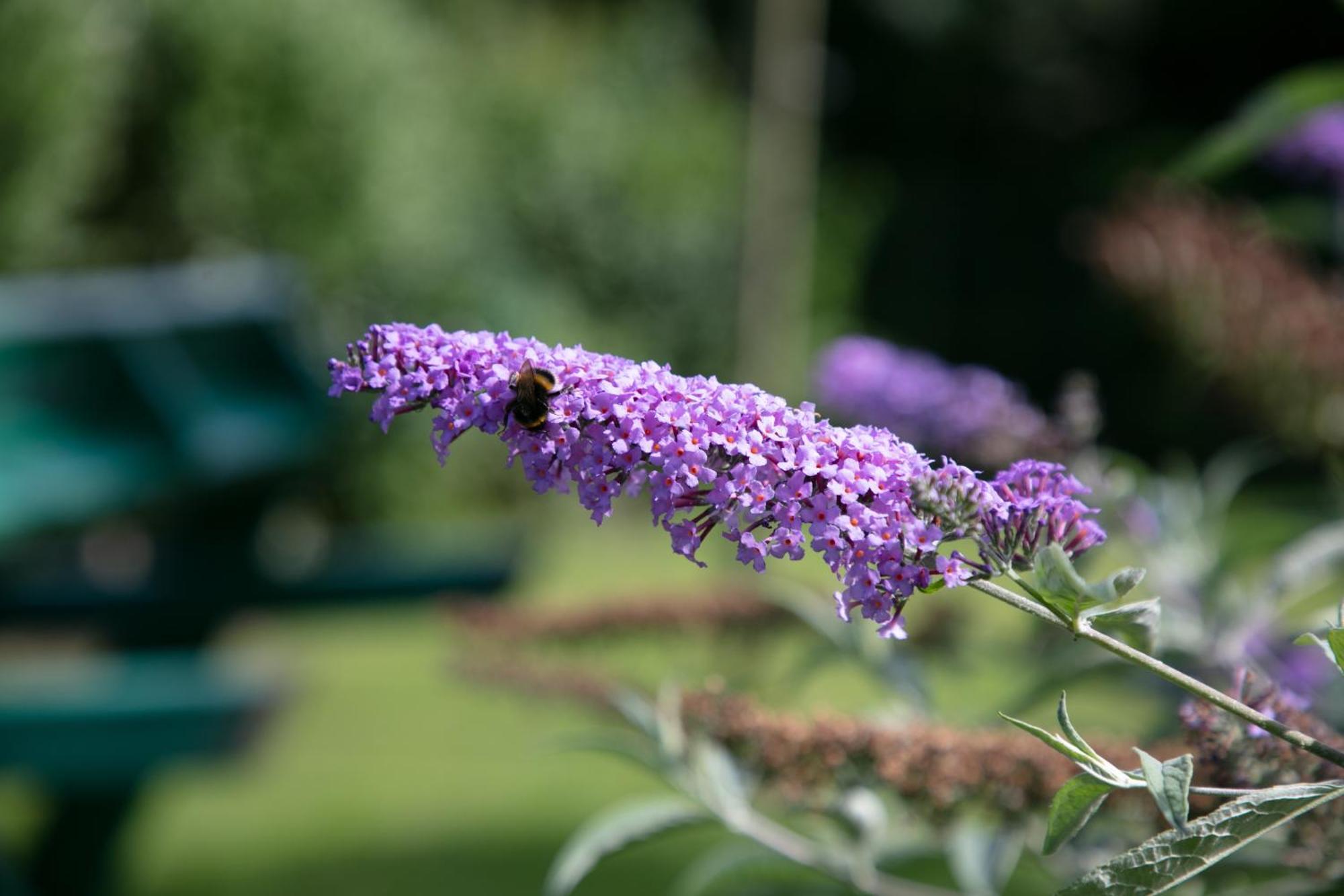 Dorset Arms Hotel Wallsend Ngoại thất bức ảnh