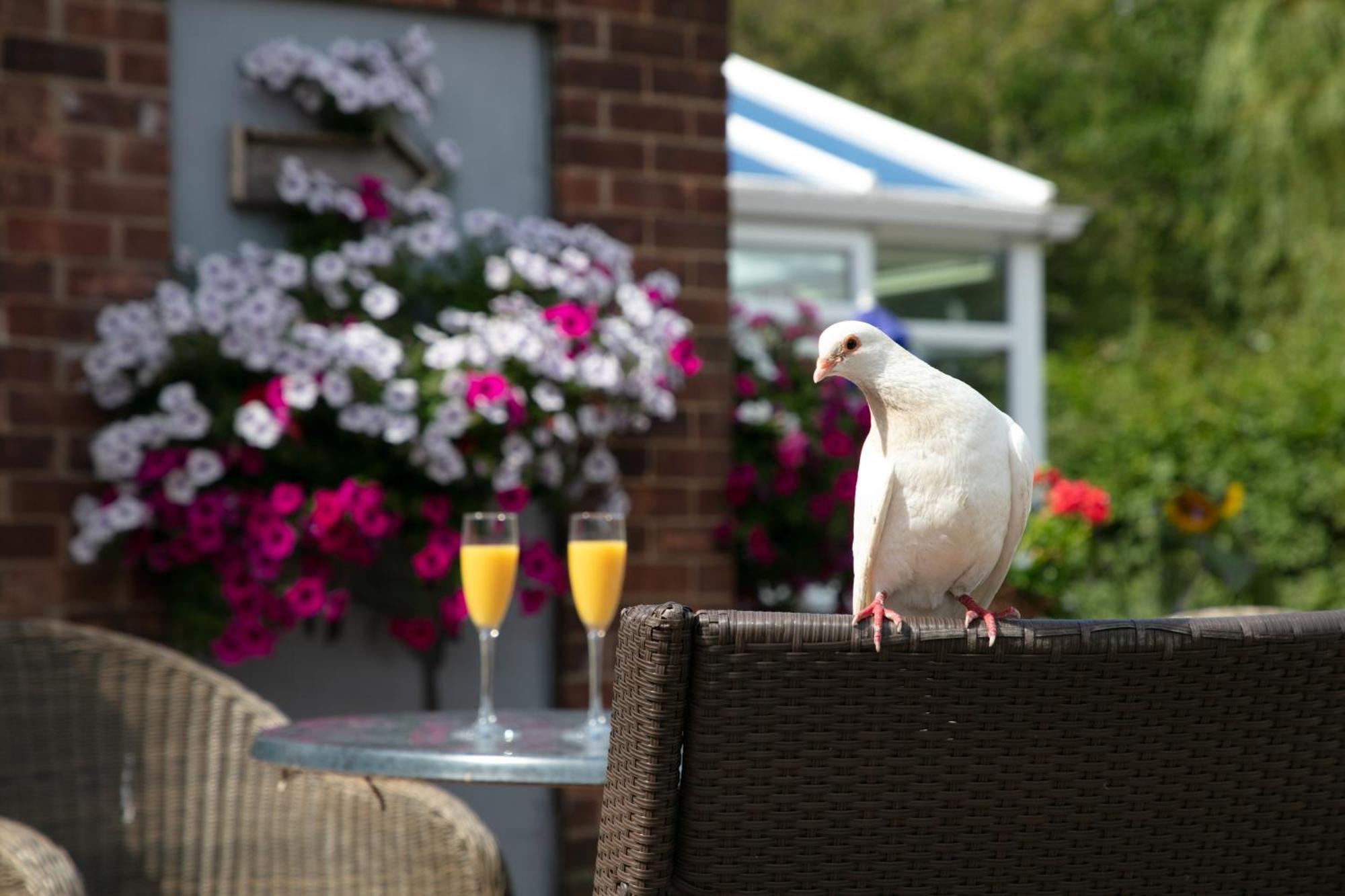 Dorset Arms Hotel Wallsend Ngoại thất bức ảnh